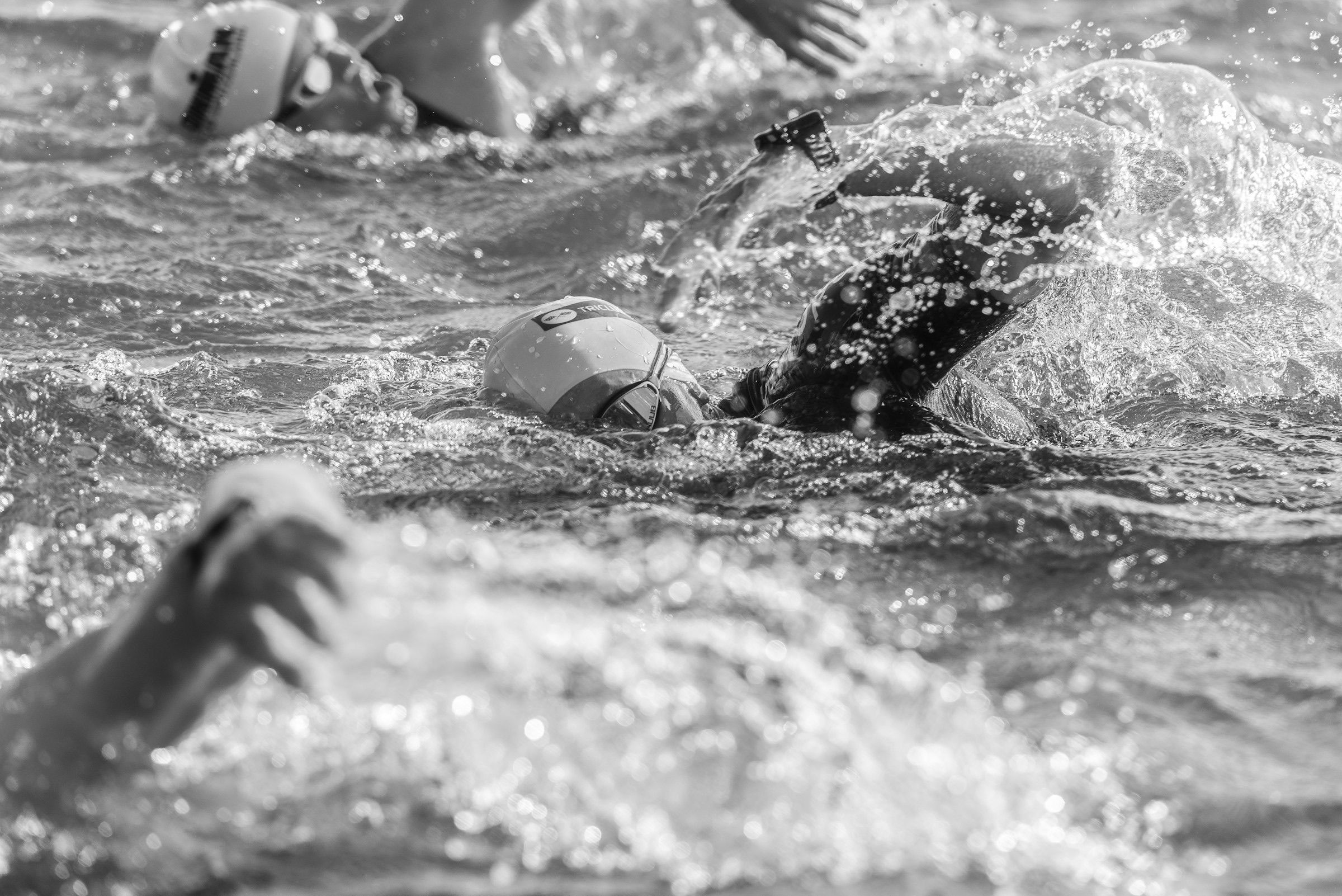 Black and white shot of swimmers splashing during a race
